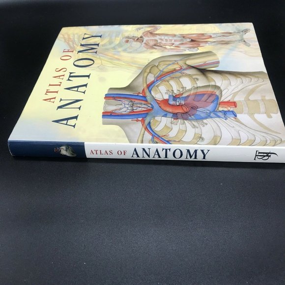 Atlas of Human Anatomy (2006, Trade Paperback, Reprint) - Picture 7 of 12